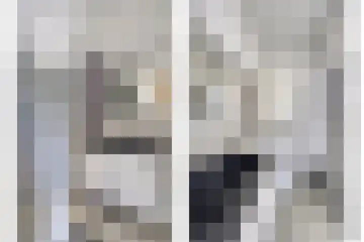 Terwaenen 42 Oss thumbnail 19