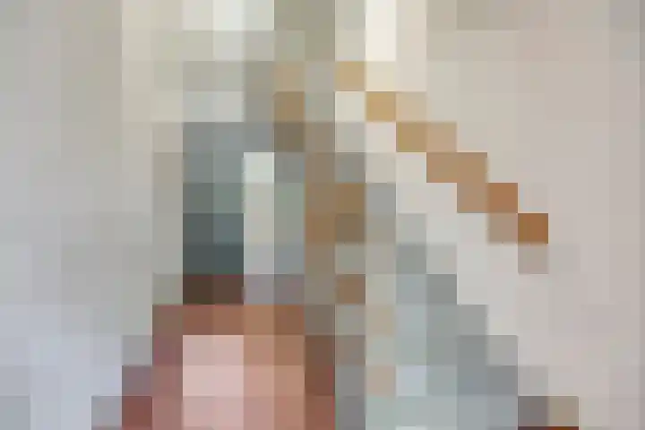 Terwaenen 42 Oss foto 2