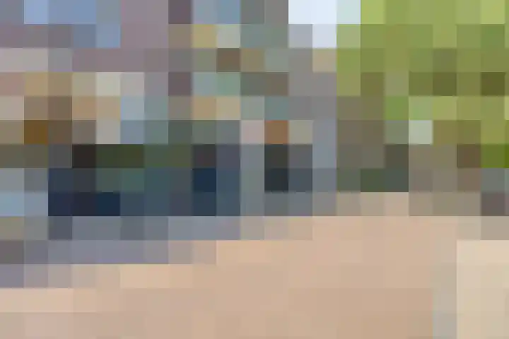 Terwaenen 42 Oss thumbnail 20