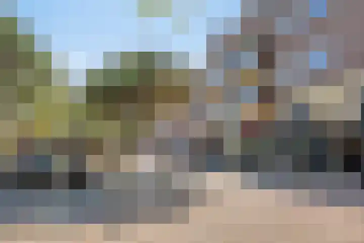 Terwaenen 42 Oss thumbnail 21