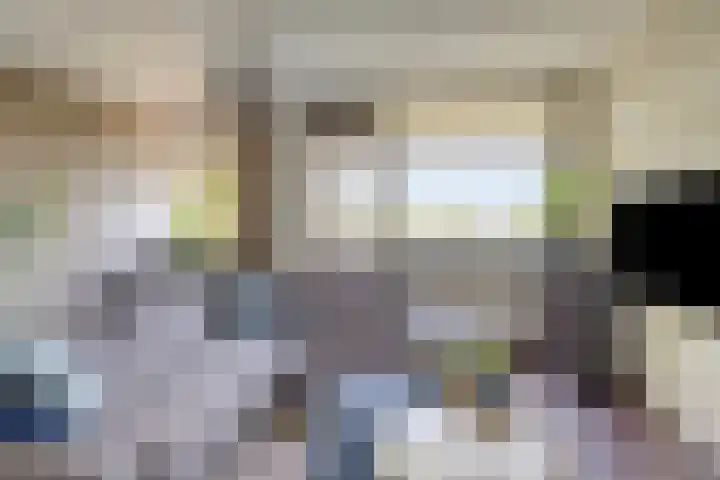 Terwaenen 42 Oss thumbnail 7