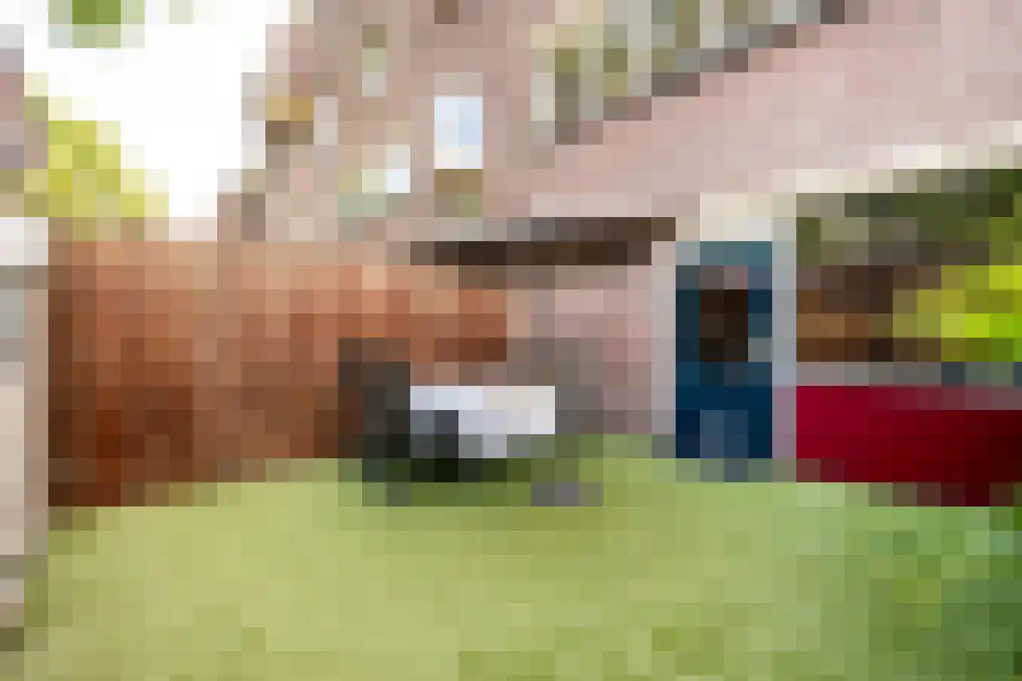 Terwaenen 56 Oss thumbnail 18