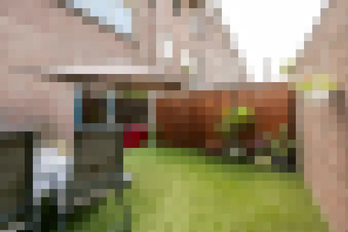 Terwaenen 56 Oss thumbnail 19
