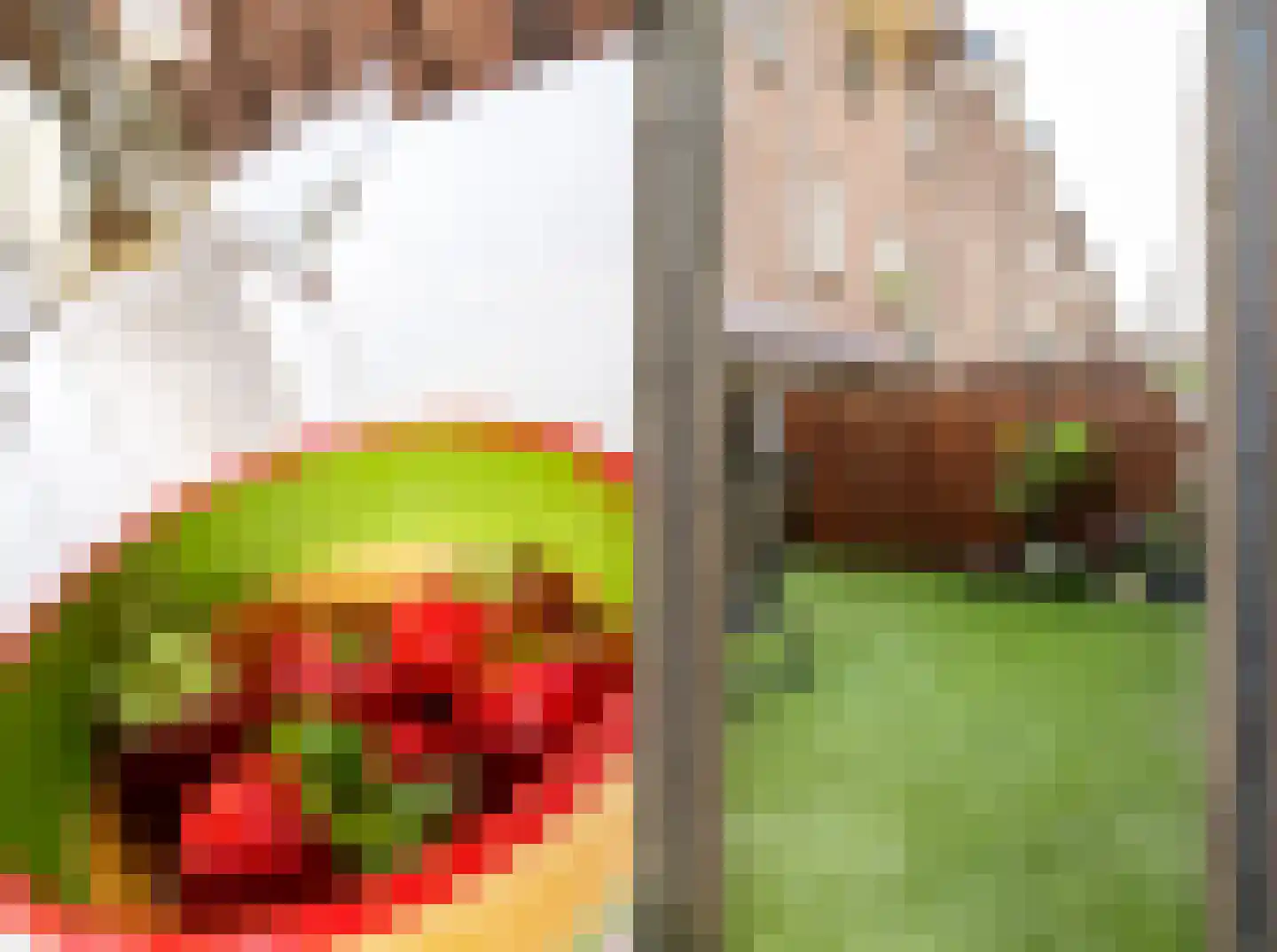 Terwaenen 56 Oss thumbnail 21