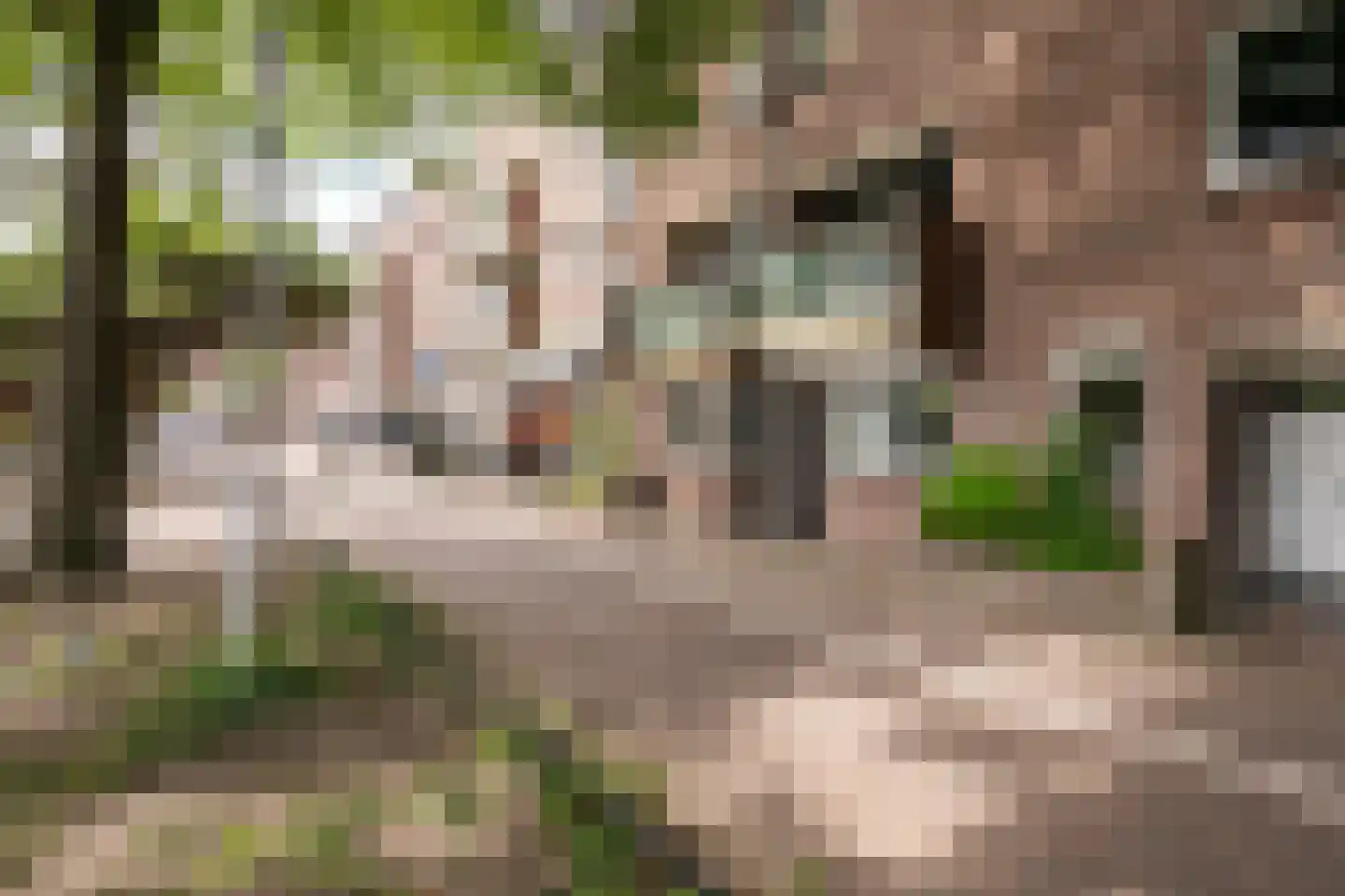 Terwaenen 56 Oss thumbnail 23