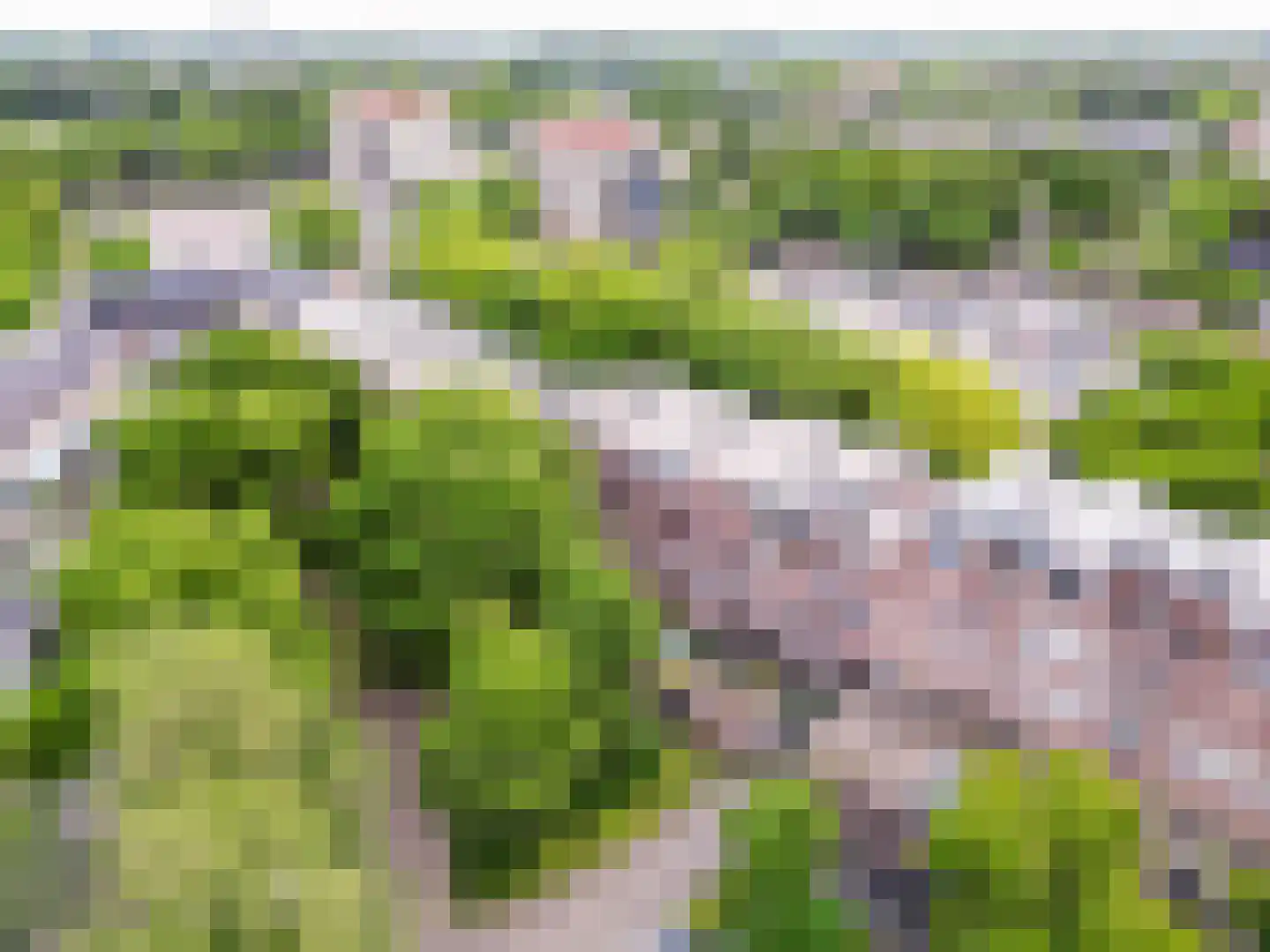 Terwaenen 56 Oss thumbnail 24