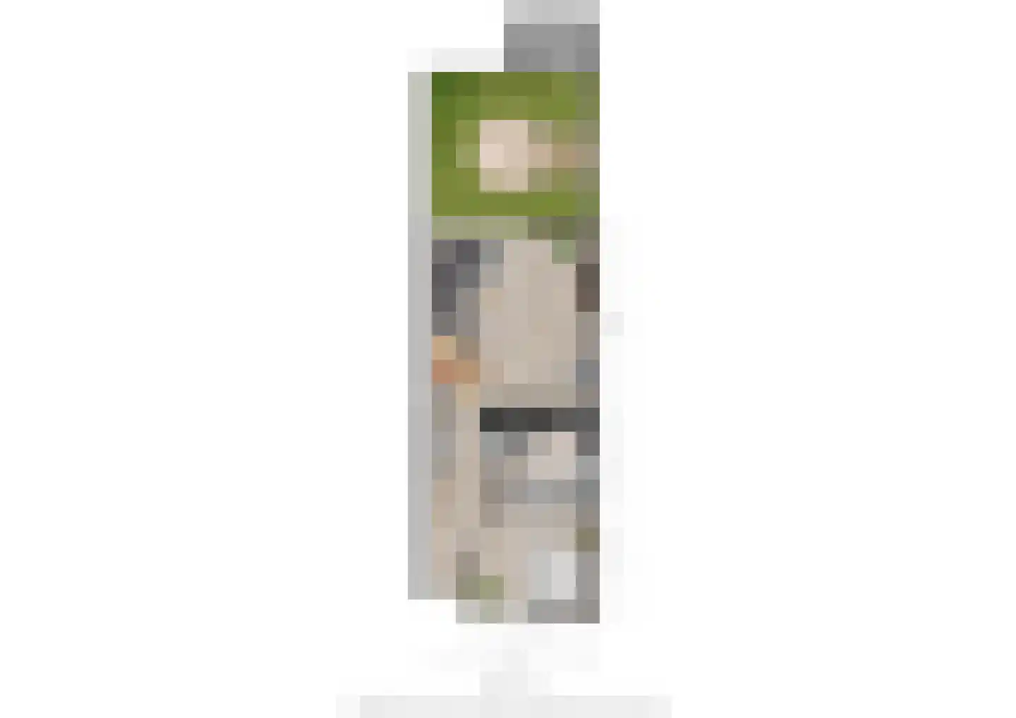 Terwaenen 56 Oss thumbnail 26
