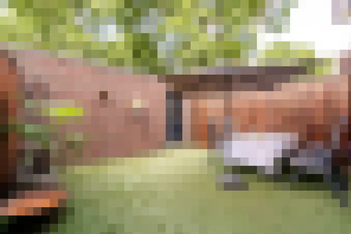 Terwaenen 56 Oss thumbnail 4