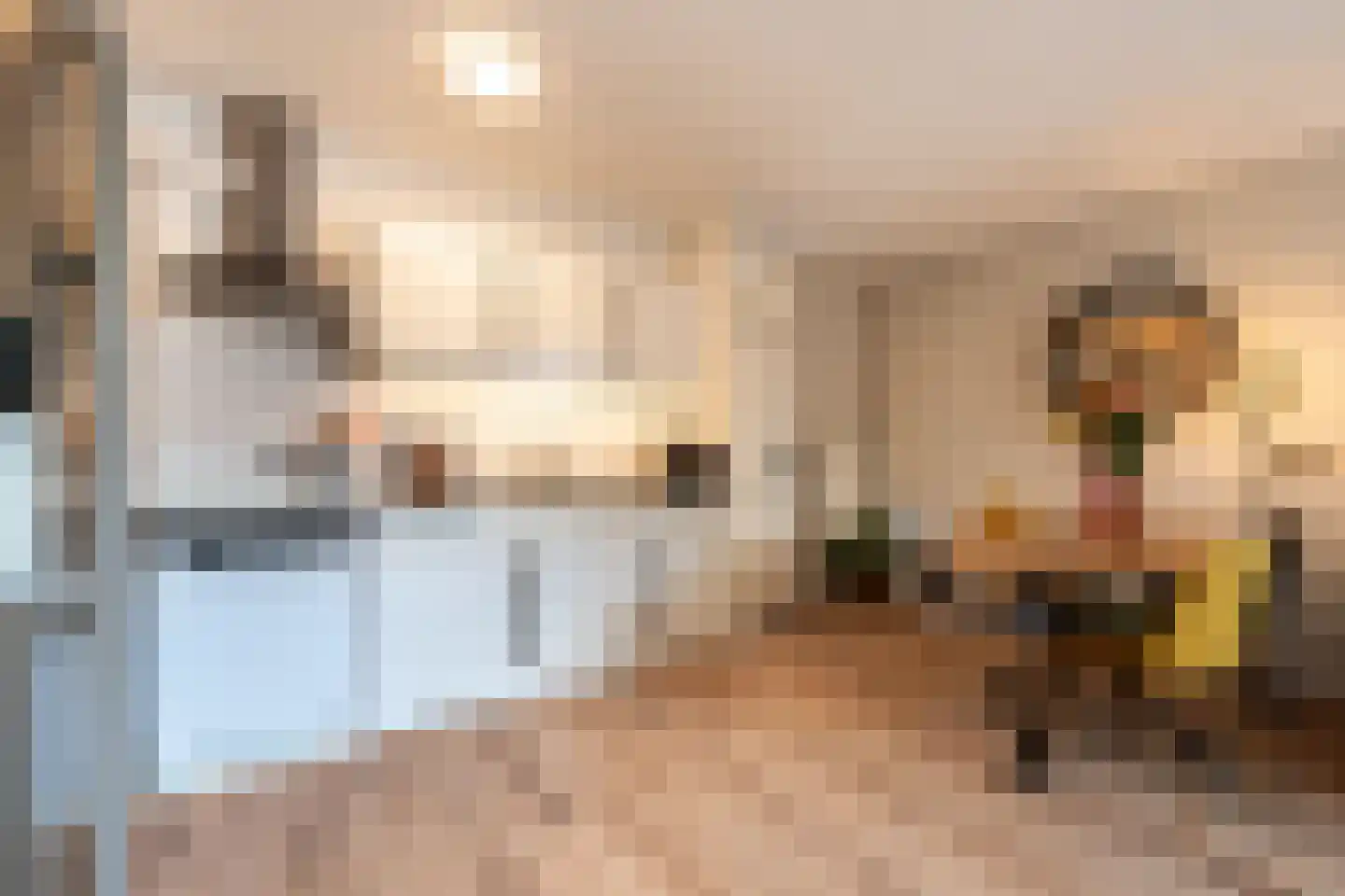 Terwaenen 56 Oss thumbnail 5
