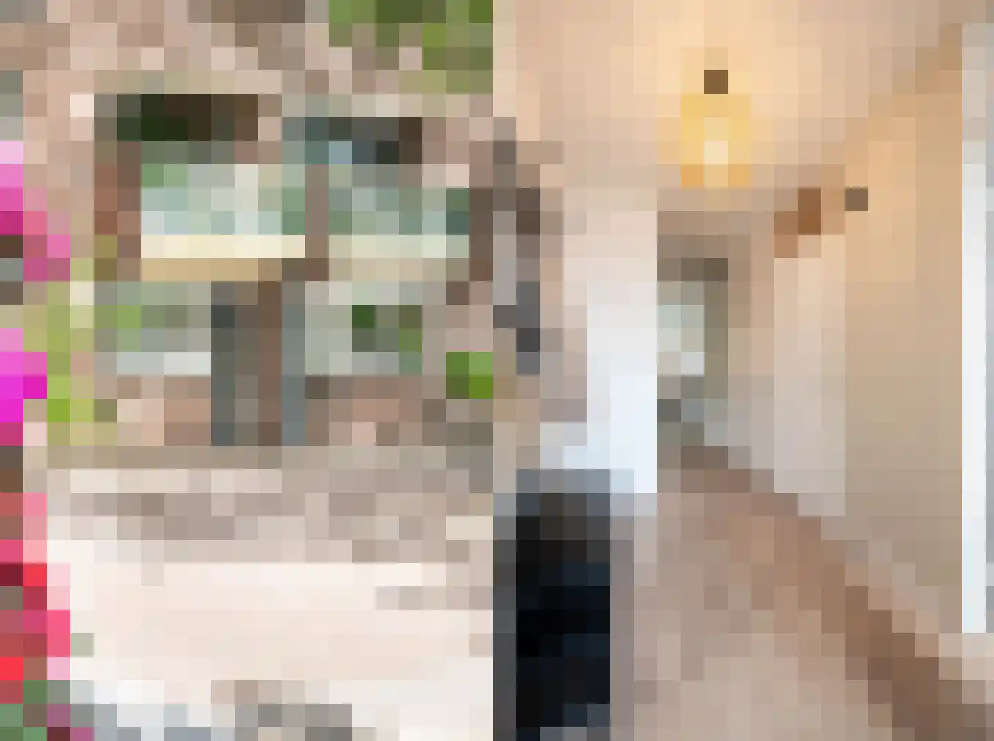 Terwaenen 56 Oss thumbnail 6
