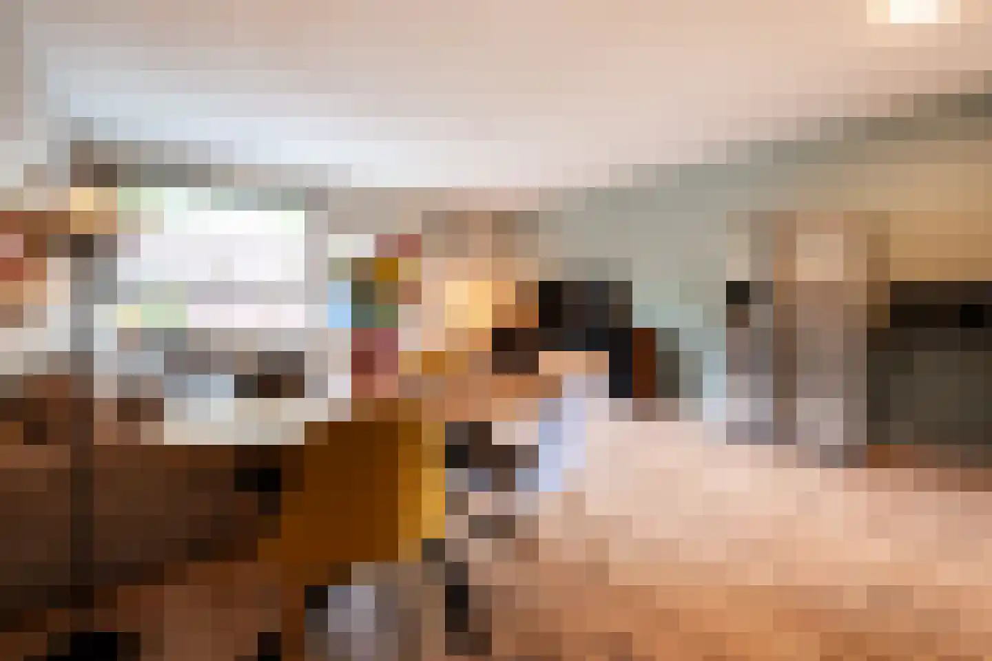 Terwaenen 56 Oss thumbnail 7