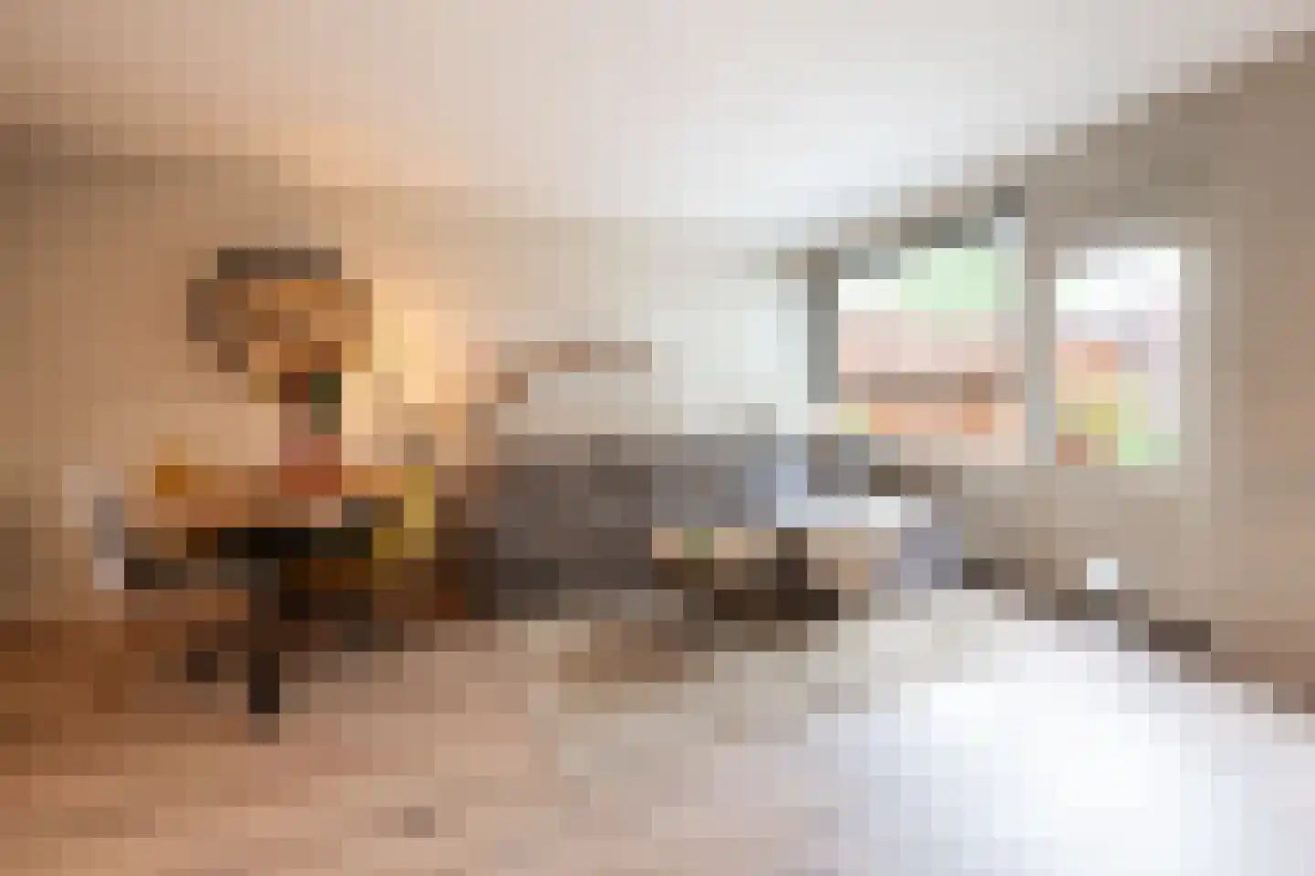 Terwaenen 56 Oss thumbnail 9