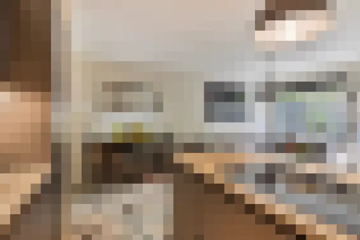 Terwaenen 76 Oss thumbnail 10