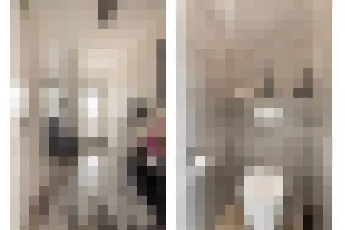 Terwaenen 76 Oss thumbnail 11