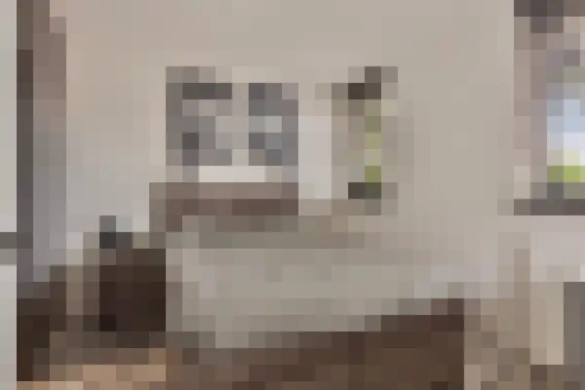 Terwaenen 76 Oss thumbnail 12