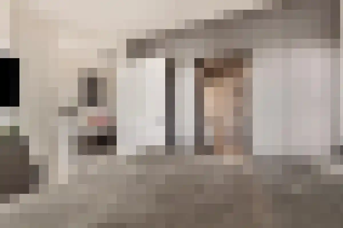 Terwaenen 76 Oss thumbnail 13