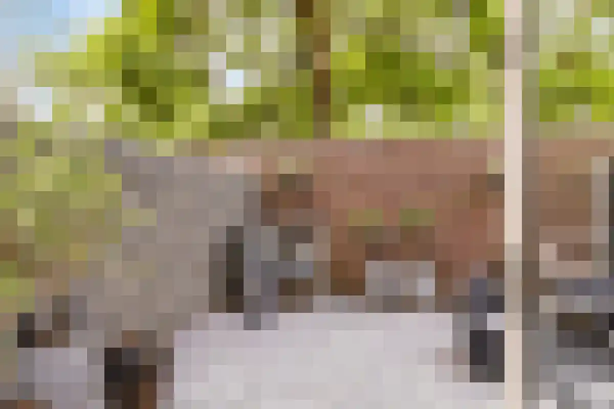 Terwaenen 76 Oss thumbnail 16