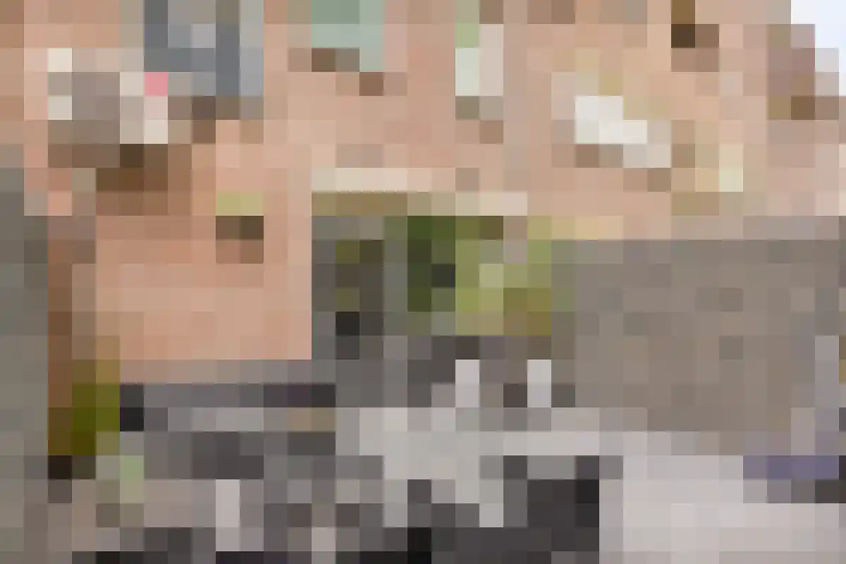Terwaenen 76 Oss thumbnail 18