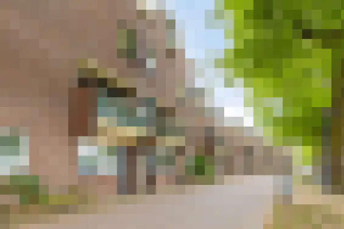 Terwaenen 76 Oss thumbnail 19