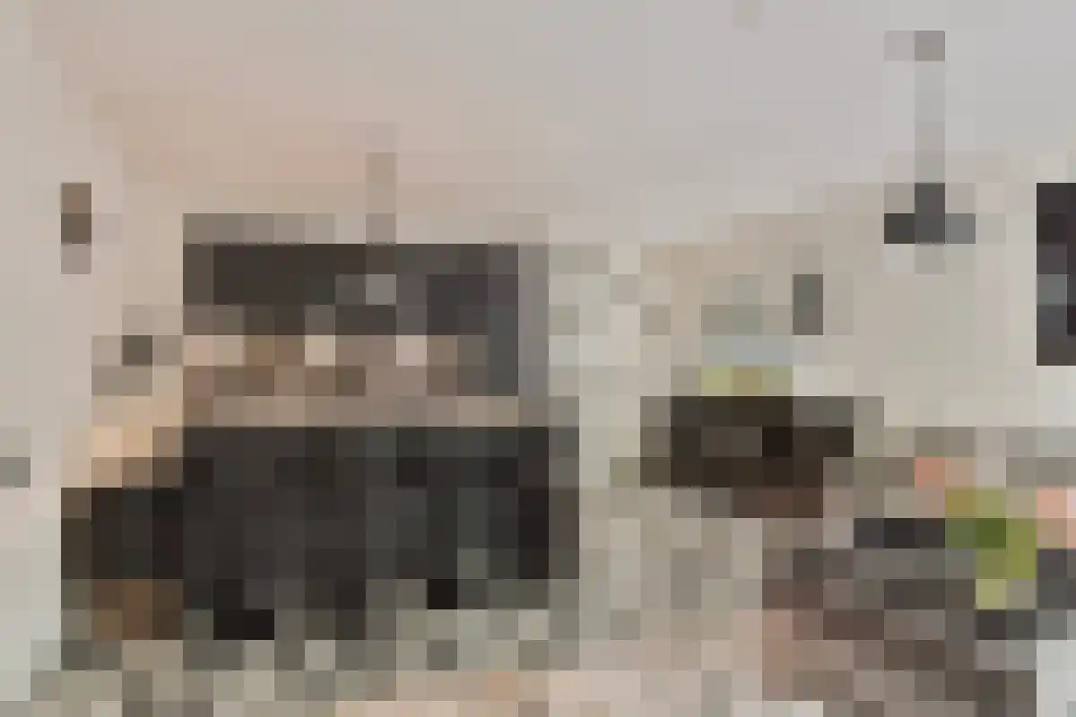 Terwaenen 76 Oss foto 2