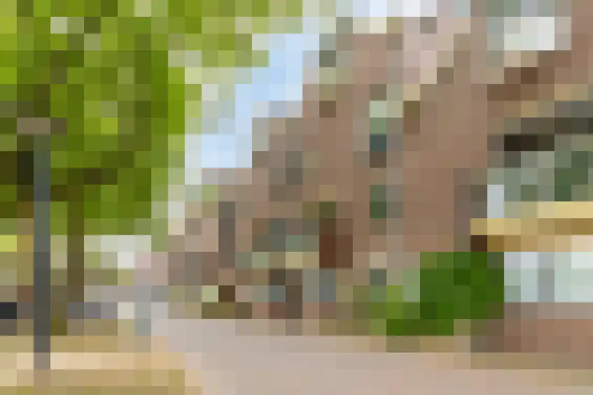 Terwaenen 76 Oss thumbnail 22