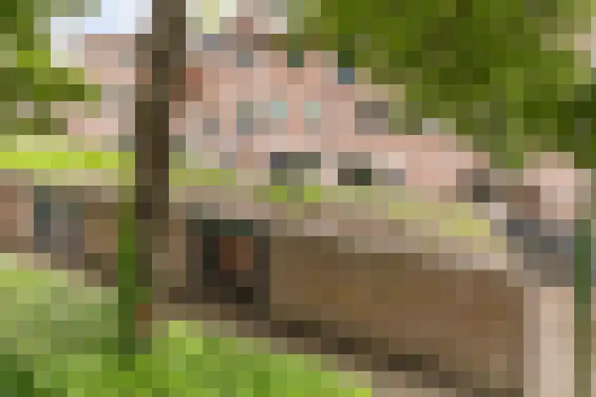 Terwaenen 76 Oss thumbnail 24