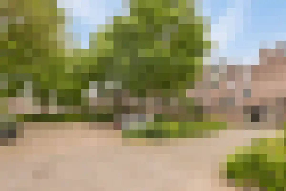 Terwaenen 76 Oss thumbnail 25