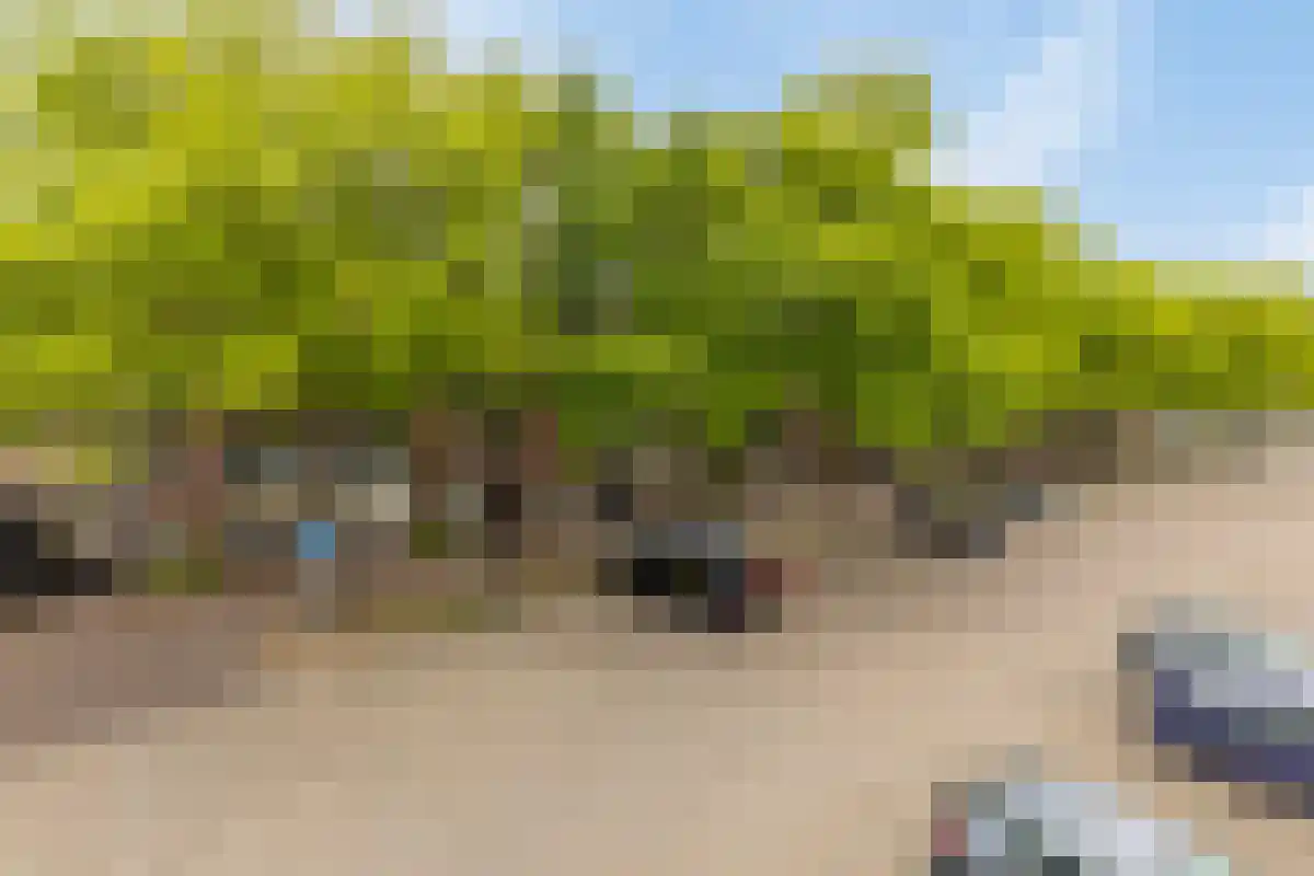 Terwaenen 76 Oss thumbnail 27