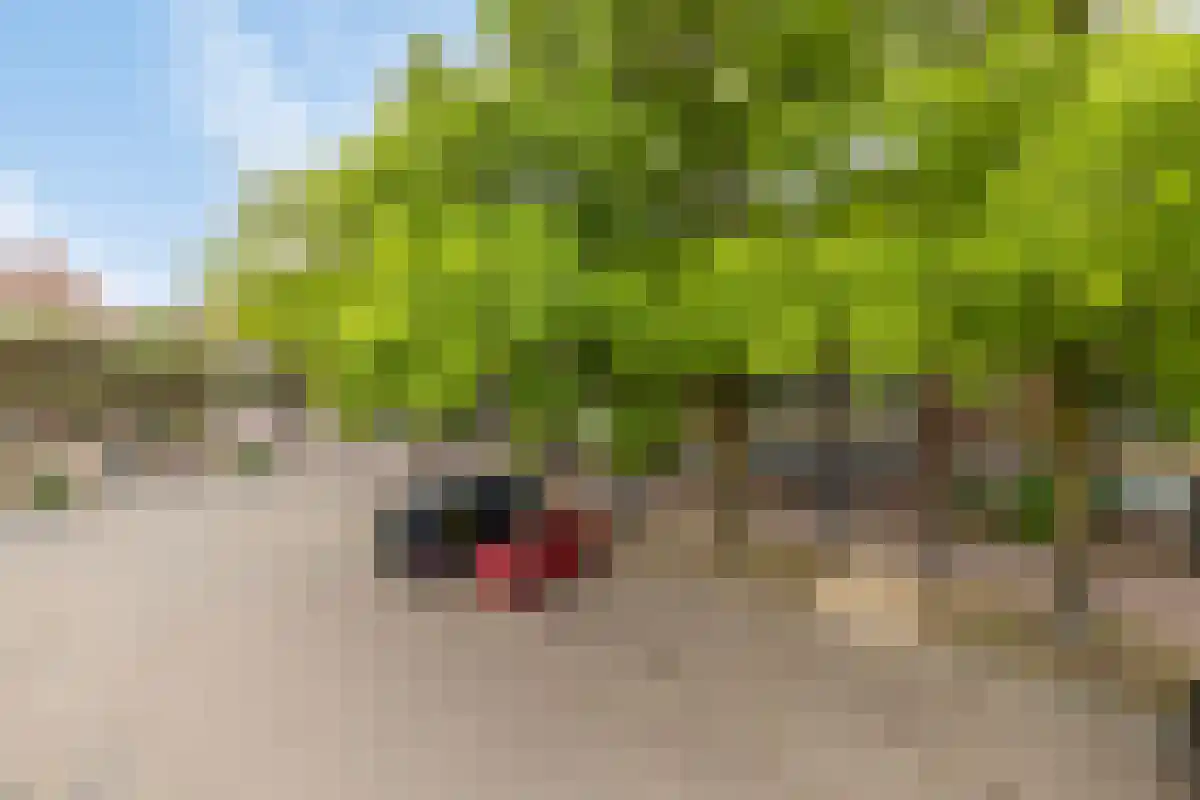 Terwaenen 76 Oss thumbnail 28