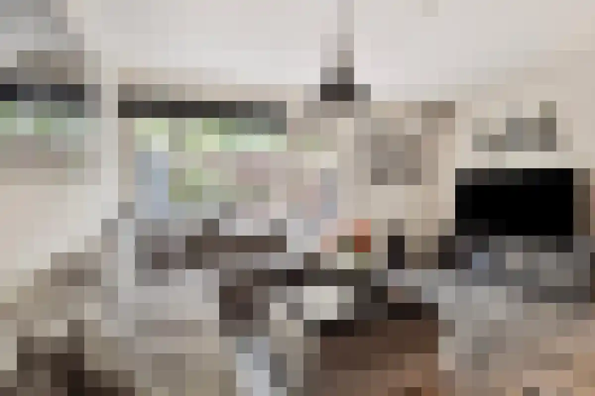 Terwaenen 76 Oss thumbnail 4
