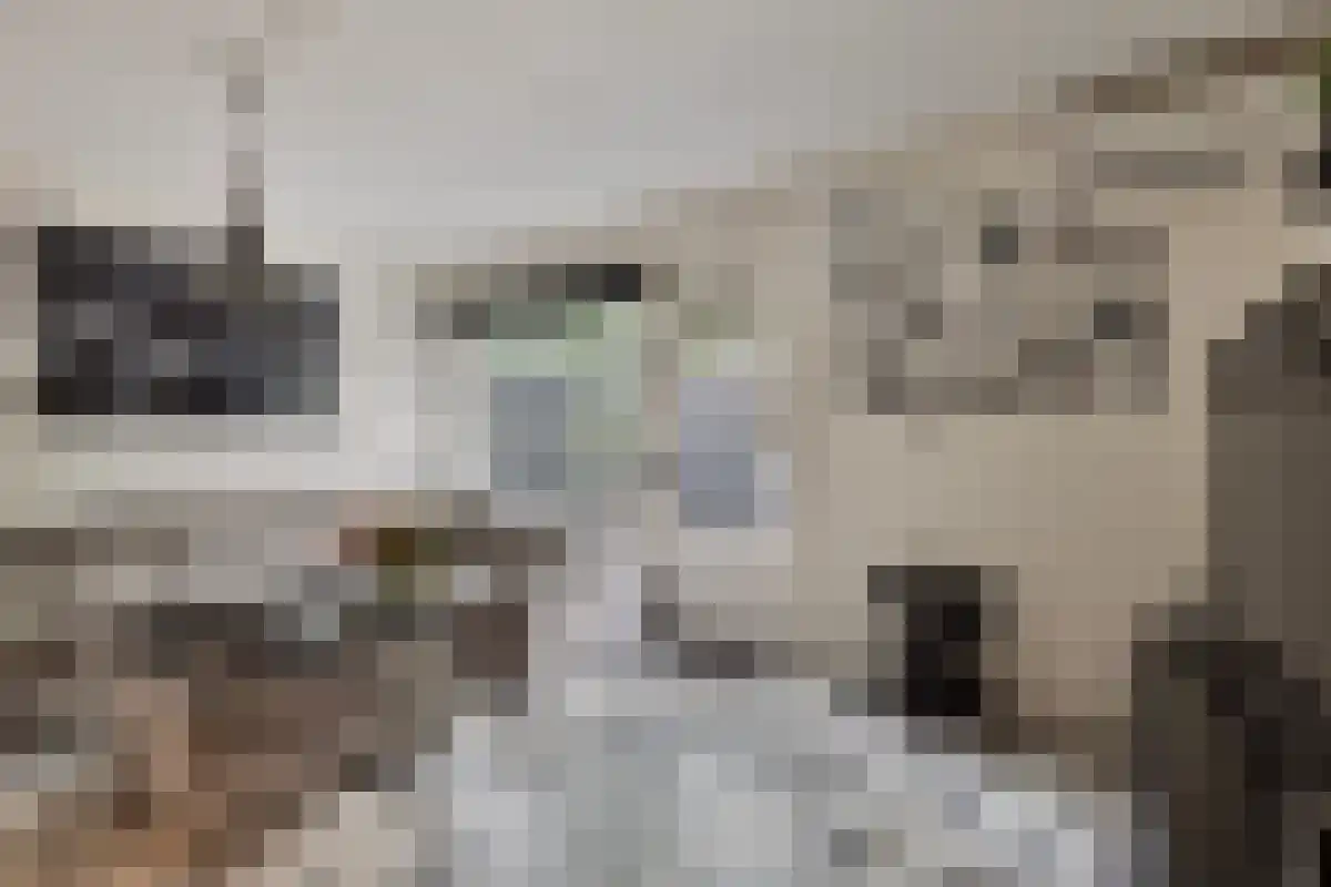 Terwaenen 76 Oss thumbnail 5