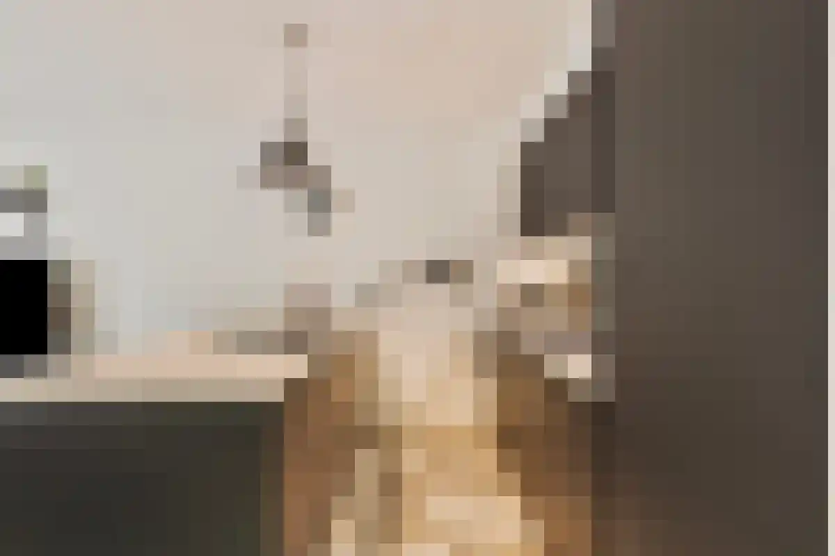 Terwaenen 76 Oss thumbnail 8