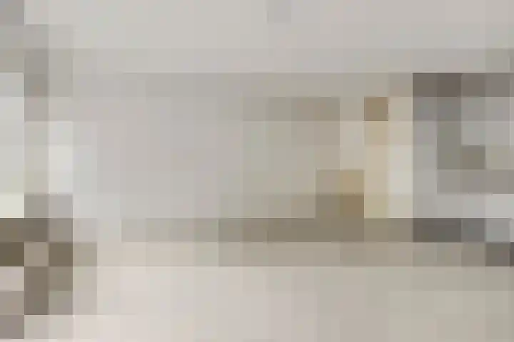 Terwaenen 78 Oss thumbnail 10