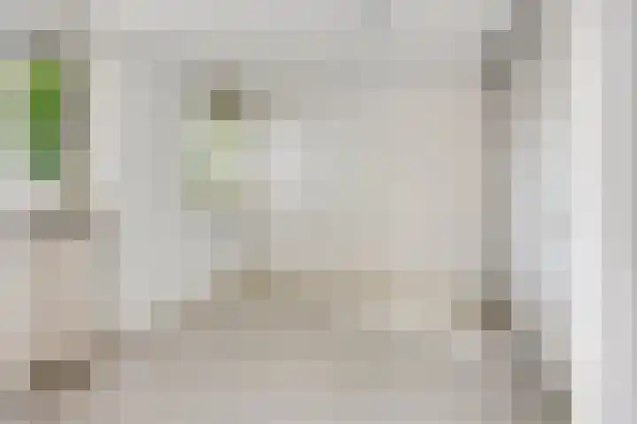 Terwaenen 78 Oss thumbnail 11