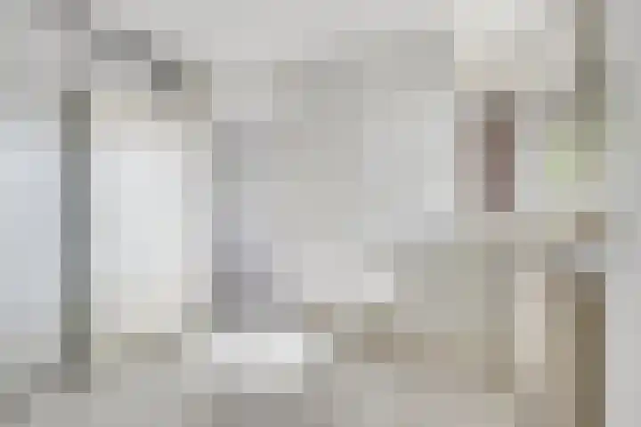 Terwaenen 78 Oss thumbnail 12