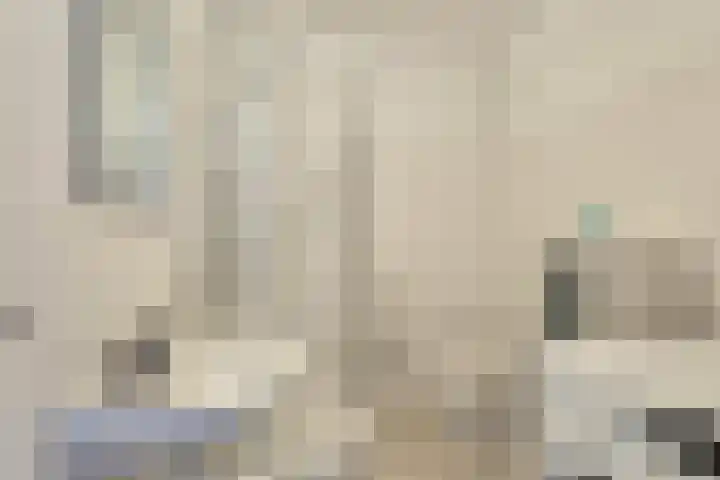 Terwaenen 78 Oss thumbnail 13
