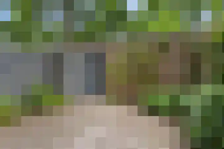Terwaenen 78 Oss thumbnail 14