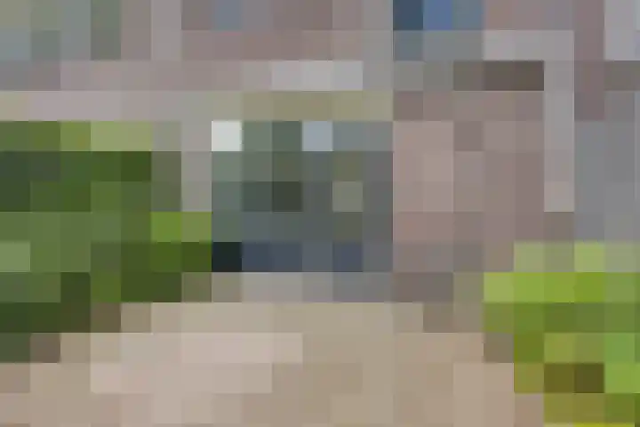 Terwaenen 78 Oss thumbnail 15