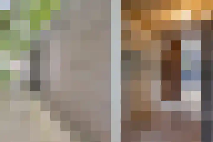 Terwaenen 78 Oss thumbnail 18