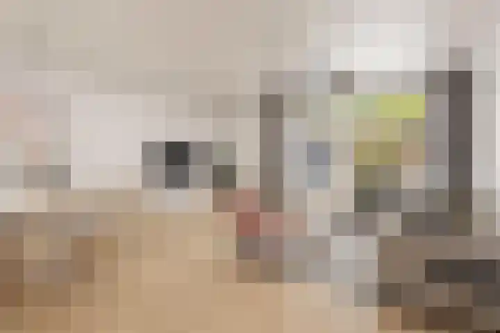 Terwaenen 78 Oss foto 2