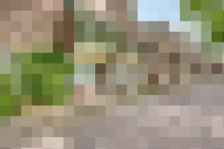 Terwaenen 78 Oss thumbnail 21