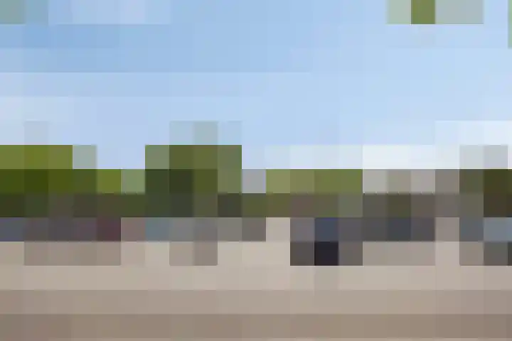 Terwaenen 78 Oss thumbnail 22