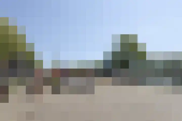 Terwaenen 78 Oss thumbnail 24