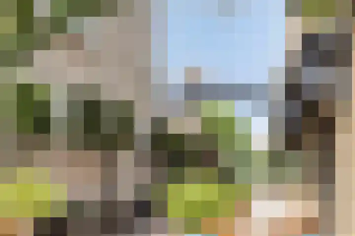 Terwaenen 78 Oss thumbnail 25