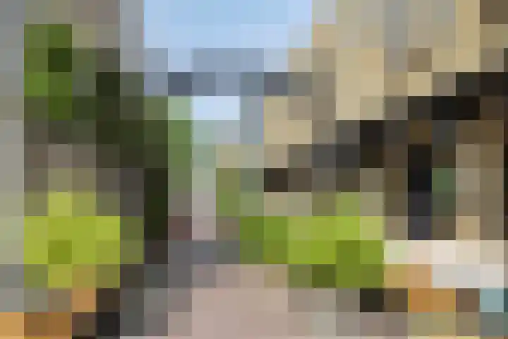 Terwaenen 78 Oss thumbnail 26