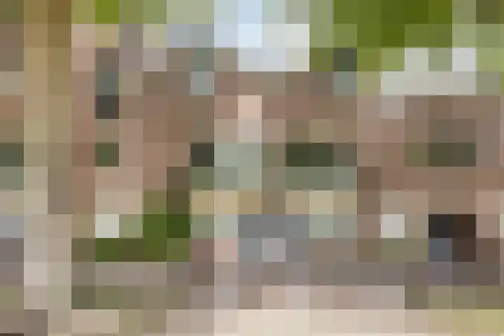 Terwaenen 78 Oss thumbnail 29