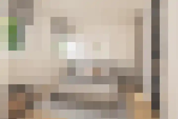 Terwaenen 78 Oss thumbnail 4