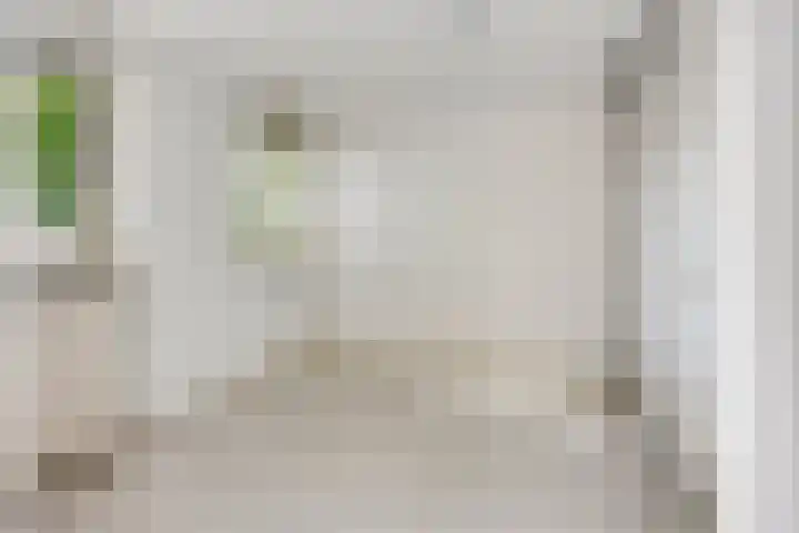 Terwaenen 78 Oss thumbnail 5