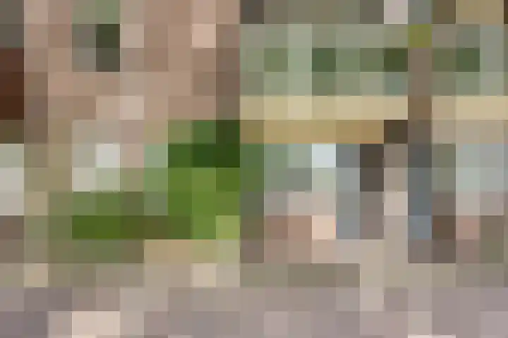 Terwaenen 78 Oss thumbnail 6