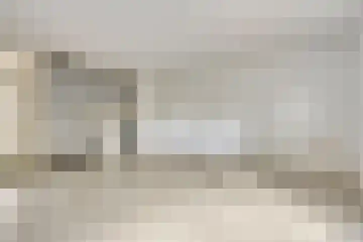 Terwaenen 78 Oss thumbnail 8